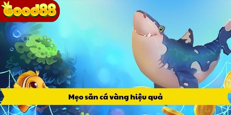 Mẹo săn cá vàng hiệu quả