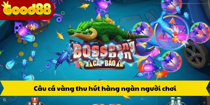 Câu cá vàng thu hút hàng ngàn người chơi