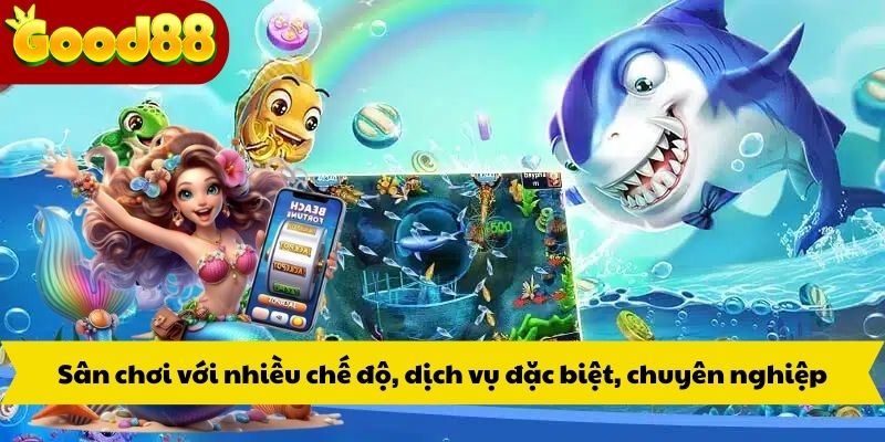 Sân chơi với nhiều chế độ, dịch vụ đặc biệt, chuyên nghiệp