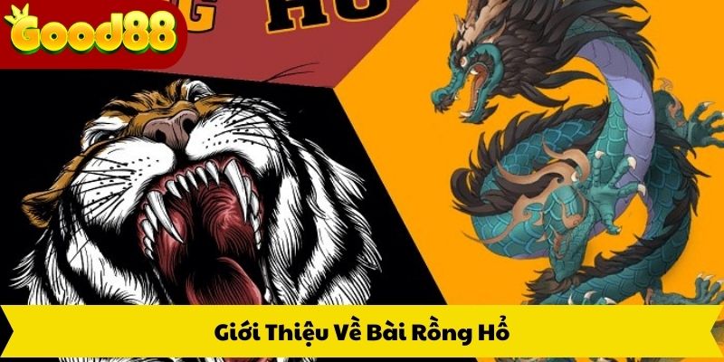 Giới Thiệu Về Bài Rồng Hổ